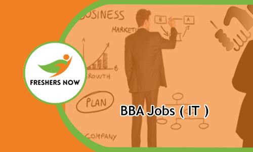 BBA Jobs 2025 For Freshers IT Private Jobs Apply Online