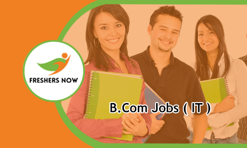 B.Com Jobs