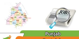 Punjab Govt Jobs