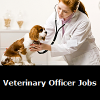 Veterinary officer jobs in malaysia