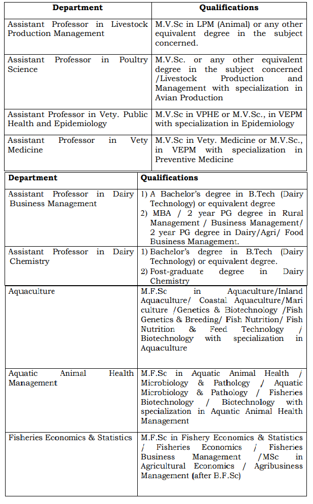 Associate Professor