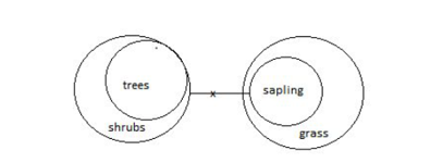 Syllogism 17th Question Answer